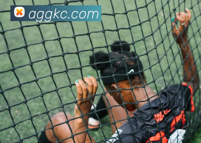 ag官网发展历程